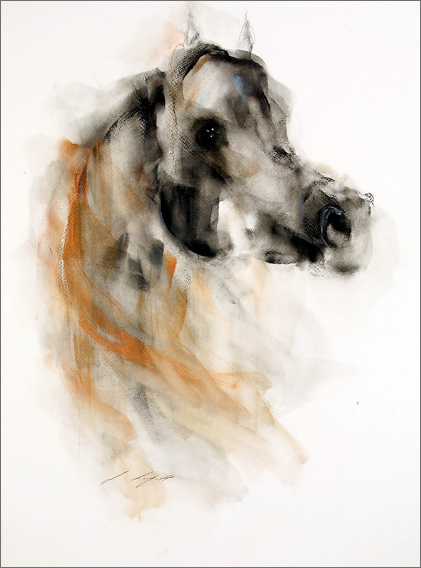 Janette - horse image